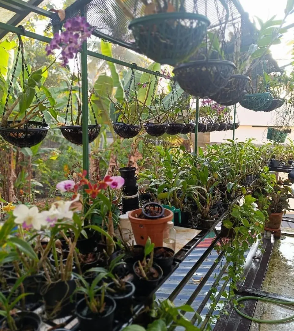 Chaithritha Ladies Homestay Thiruvananthapuram India